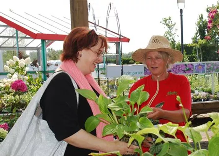 Fachberatung Fachberatung