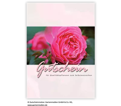 Ihr individueller Gutschein