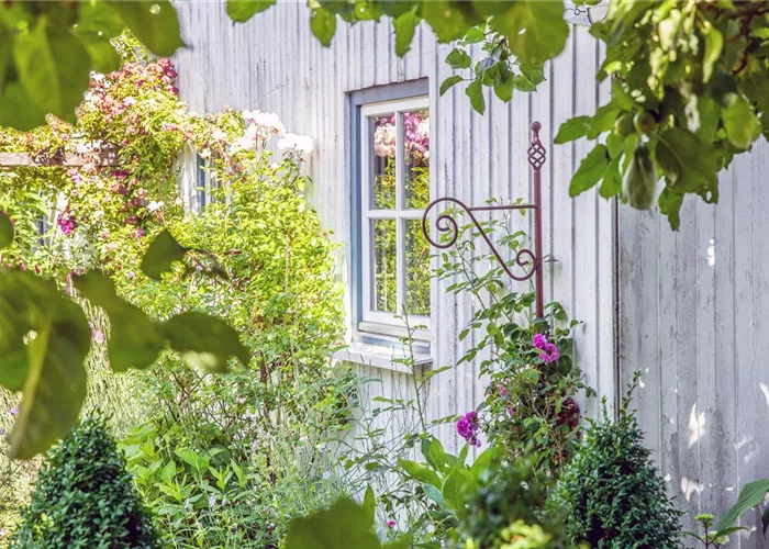 Unsere Gartenwelt Unsere Gartenwelt