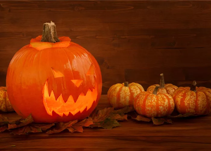 Der Garten zu Halloween – Schaurig schön Der Garten zu Halloween – Schaurig schön