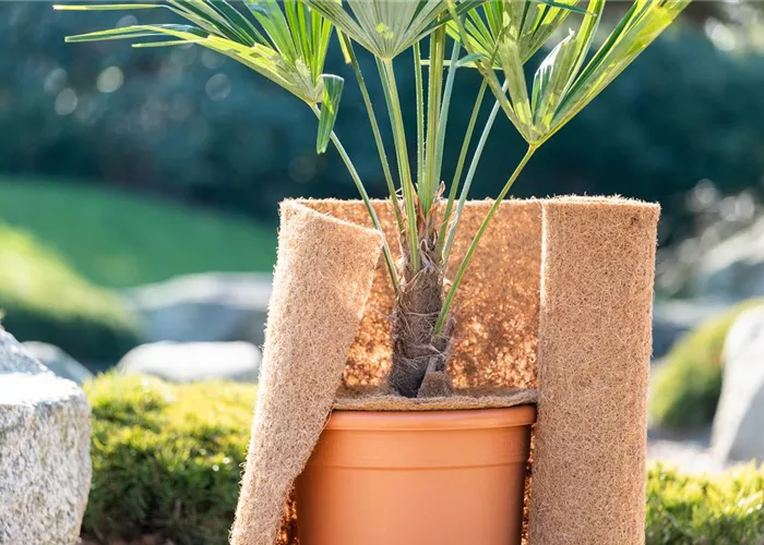 Den Garten winterfest machen Den Garten winterfest machen