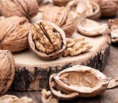 Juglans regia 'Europa'