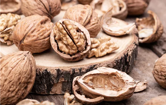 Juglans regia 'Europa'