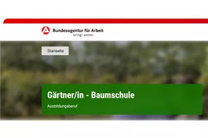 Stielau_Info_Bundesagentur_Arbeit.jpg