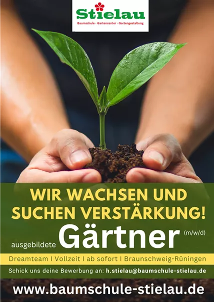 Stielau_Gaertner_gesucht.jpg