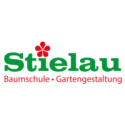 Ribes nigrum 'Ometa' -S- CAC