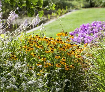 Stauden i.S. Stauden i.S.