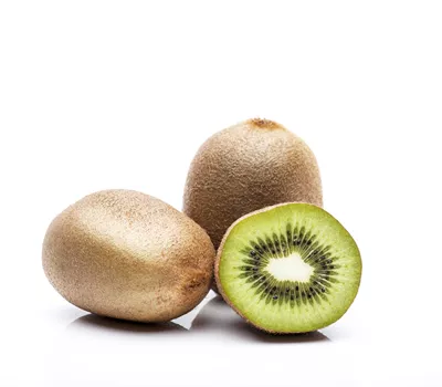 Actinidia chinensis 'Hayward' weiblich Actinidia chinensis 'Hayward' weiblich