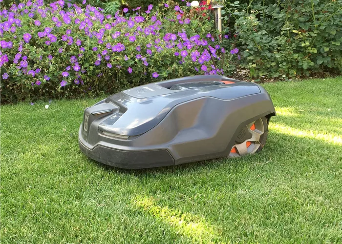 Mähroboter & Wartung