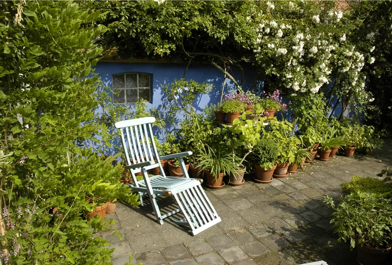 Terrasse mit Topfpflanzen