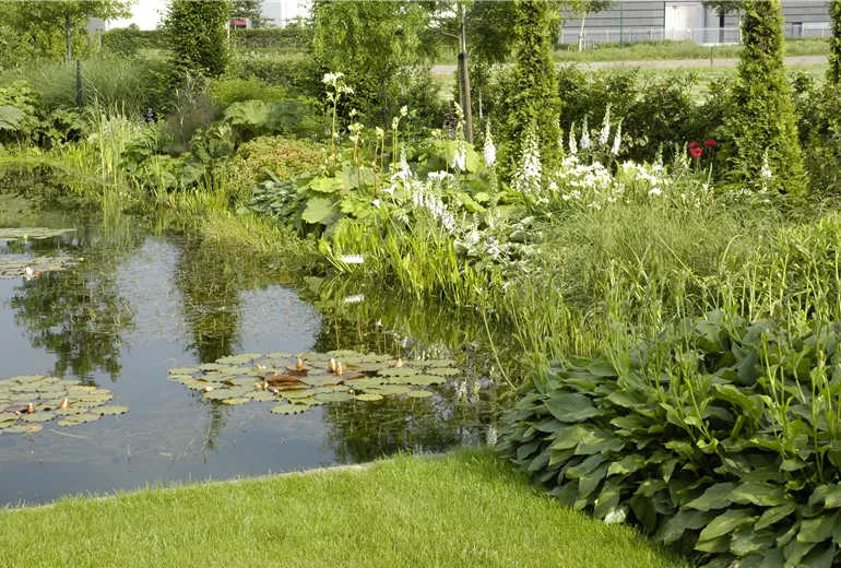 Gartenansicht mit Teich