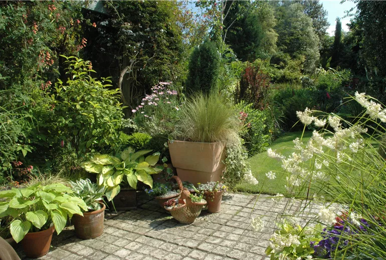 Kübelpflanzen