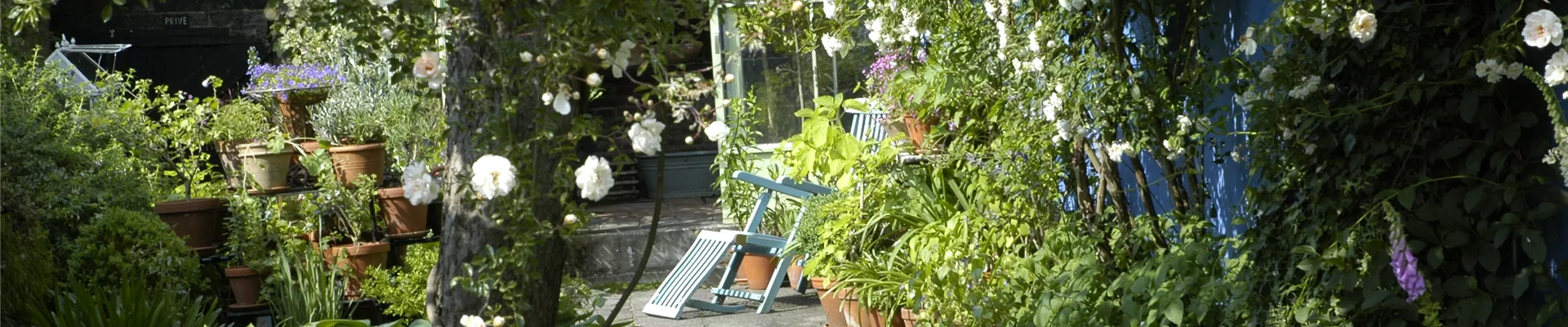 Gartenansicht