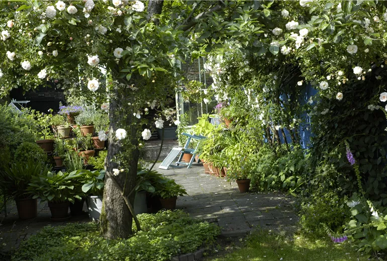 Gartenansicht