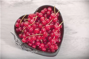 Johannisbeeren – Leckere Snacks für große und kleine Naschkatzen