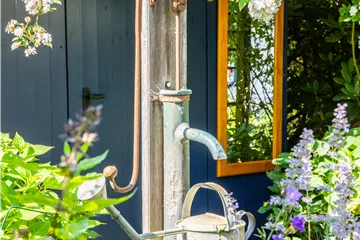 So einfach kann die Gartengestaltung mit Gartenpflanzen sein