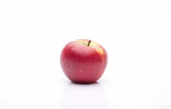 Malus 'Topaz' -S- CAC