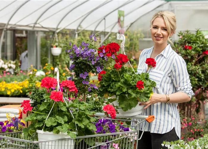 Bestellservice Bestellservice