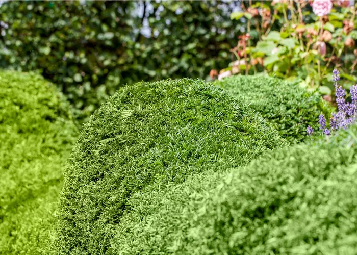 Unsere täglichen Tipps Unsere täglichen Tipps