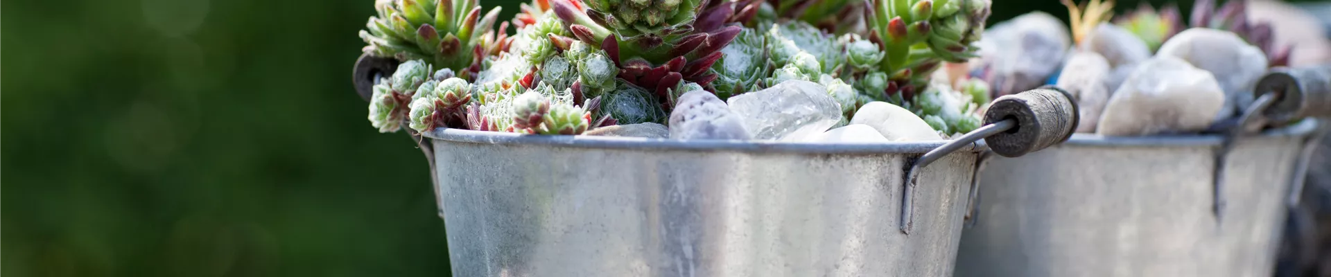 Titelbild Unsere Leistungen Titelbild Unsere Leistungen