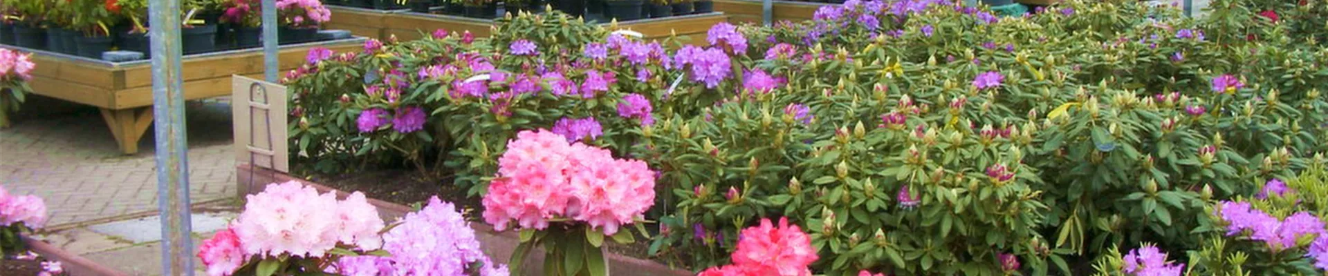 Das sind wir Rhodos Das sind wir Rhodos